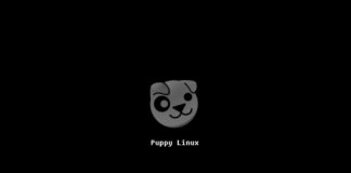 Puppy Linux su PC catorcio: Recensione