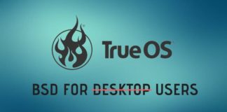 TrueOS: da semplice OS desktop a fork completo