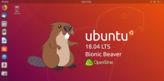 Recensione Ubuntu 18.04.1 LTS Bionic Beaver