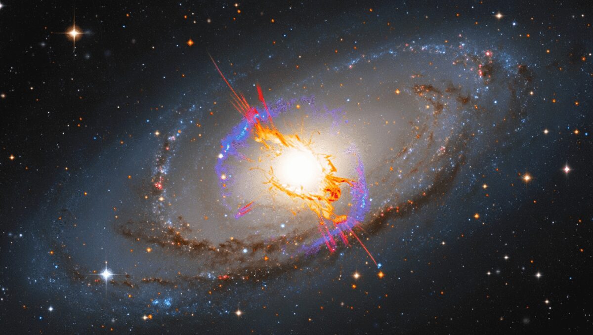 Osservata per la prima volta la forma di una supernova nelle sue fasi iniziali