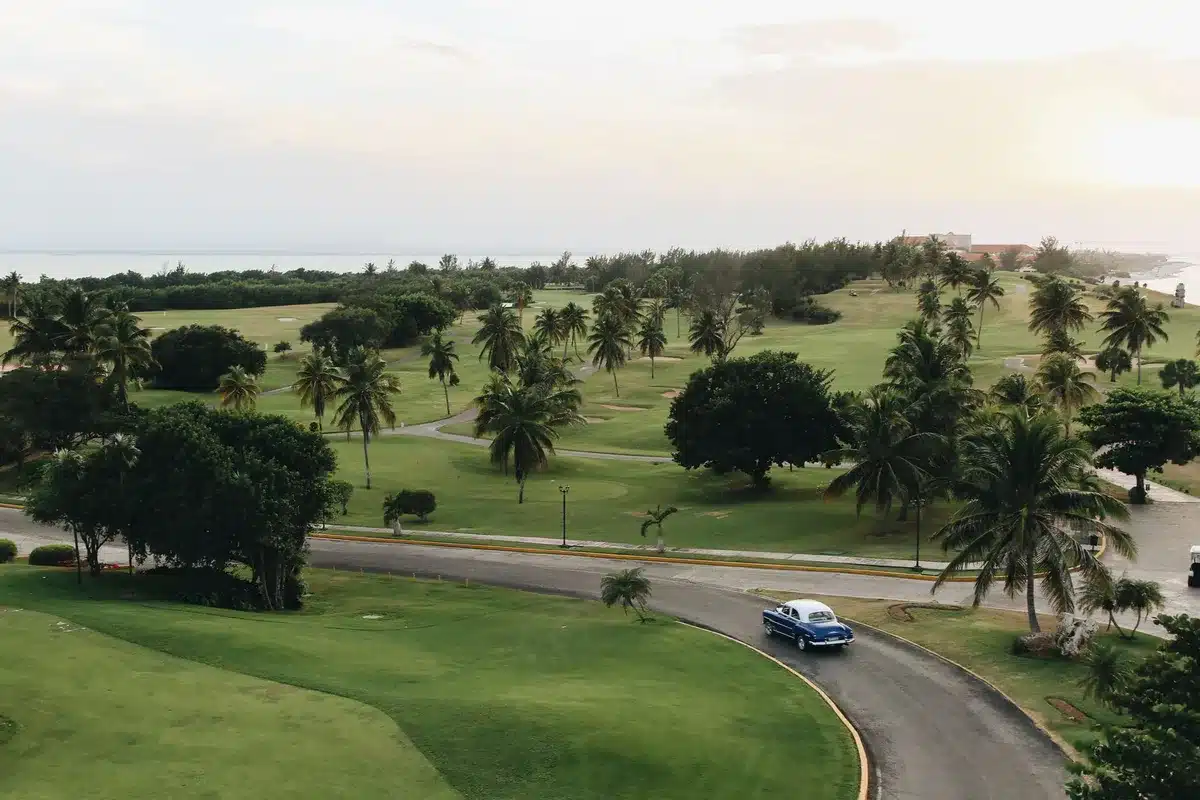 Auto storiche parcheggiate al tramonto su un fairway di golf