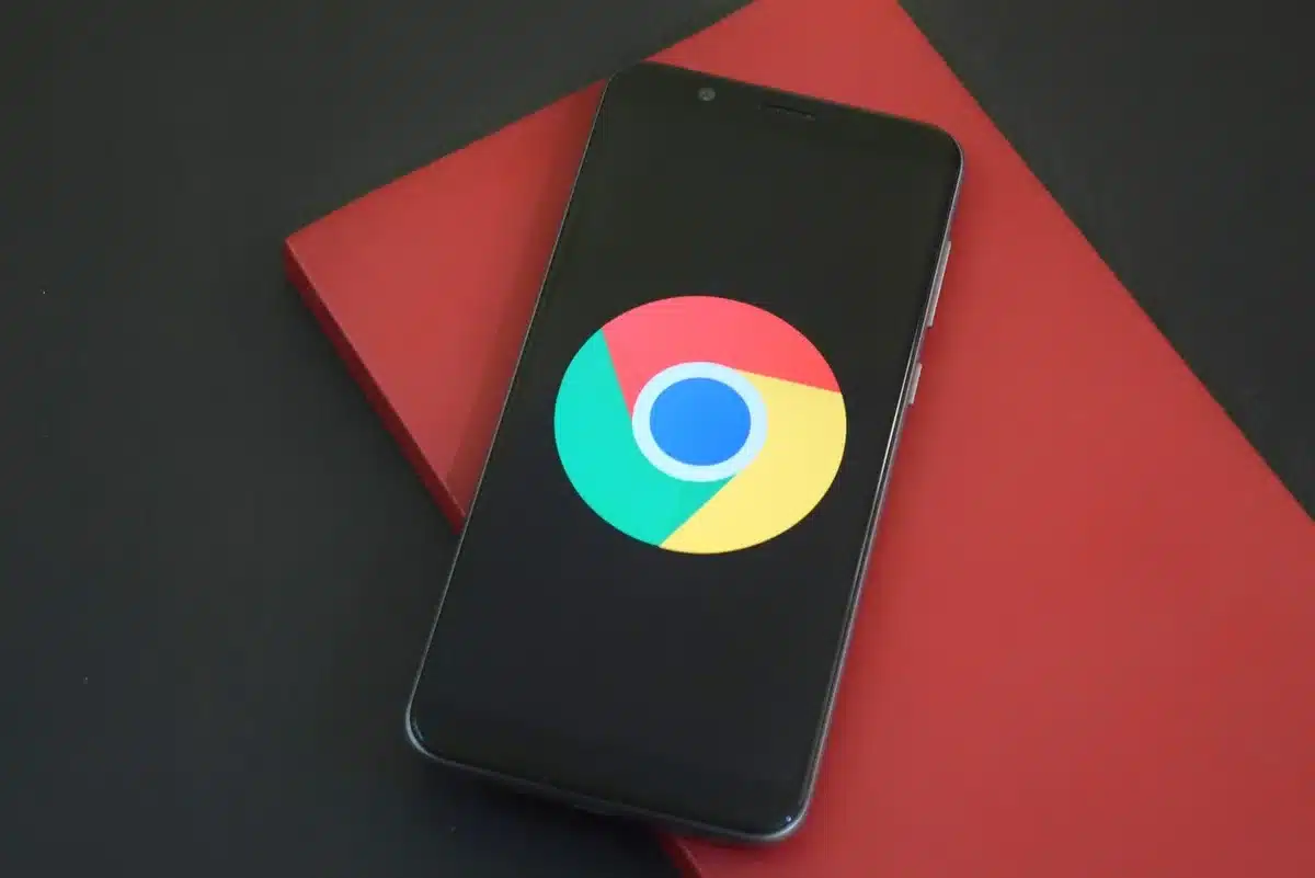 Pannello di gestione delle estensioni del browser con visualizzazione dei permessi concessi