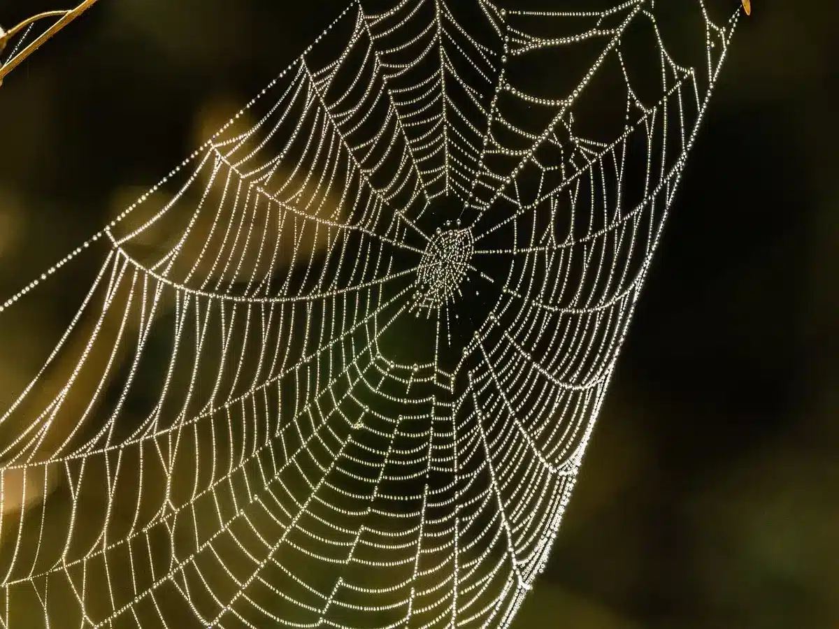 Dettaglio di una lente con display trasparente e microLED visibili