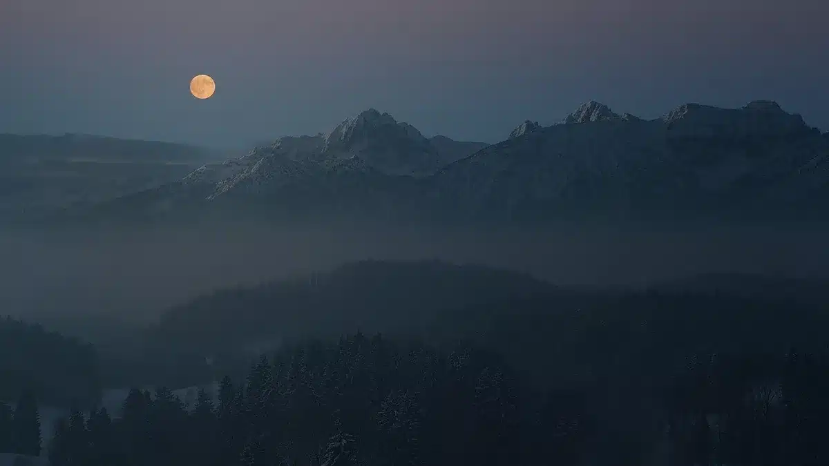 Personaggio in trasformazione tra forma umana e vampiro in un'ambientazione fantasy oscura