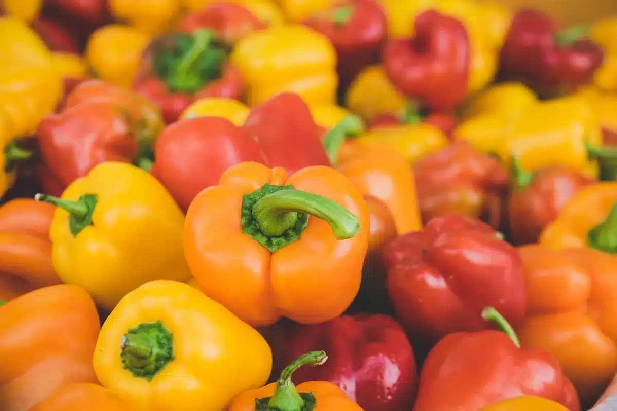 Sacchetti di cibo deperito buttati davanti a un frigorifero